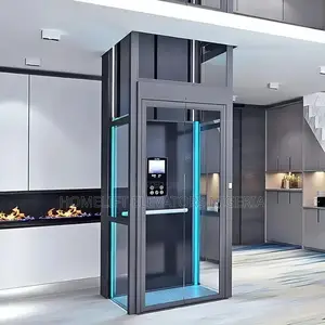 Luxury Villa Elevator