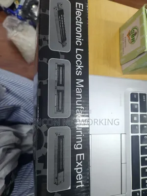 Magnetic Lock and Z Bracket