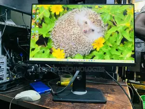 24 Inches Frameless Monitor Hdmi 1080p