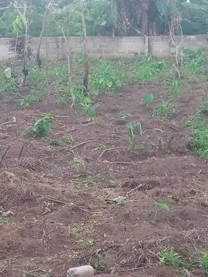 2 Half Plots of Land for Sale in Portharcourt