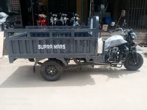 New Tricycle 2026 Gray