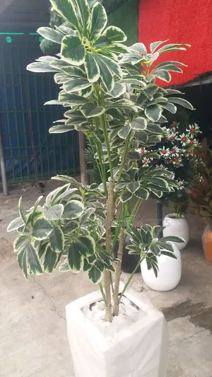 Nelly Artificial Plant