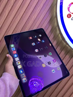 Apple iPad Pro 256 GB Gray