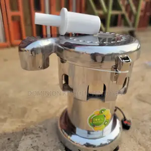 Stainless Steel Commercial Electric Juice Extractor