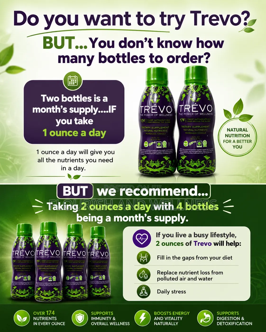 Trevo Powerful Immune Booster