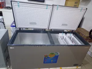 725 Liter Polystar Big Freezer