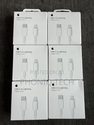 Original iPhone Lightning Charger