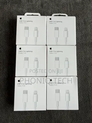 Original iPhone Lightning Charger