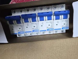 2 Pole Chint Breaker