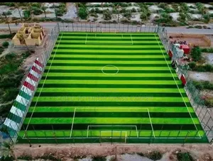 Football Pitch Grass