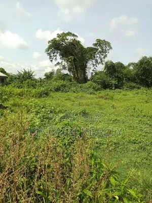Land Measuring 30 by 120 Ft at Alagbado Lagos State