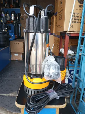 3hp Sewage/Fountain Submersible Water Pump