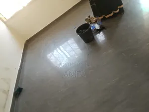Ainik Cleaning Services