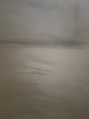 Ainik Cleaning Services