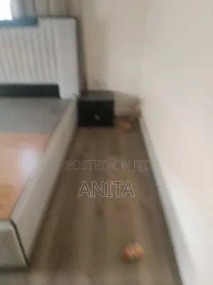 Ainik Cleaning Services