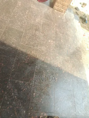 Ainik Cleaning Services