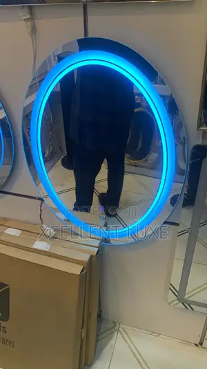 Oval Shaped Led Mirror