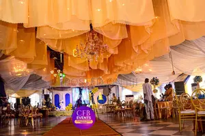 Professional Event Planner
