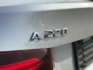 Mercedes-Benz A-Class A 220 4MATIC 2021 Gray