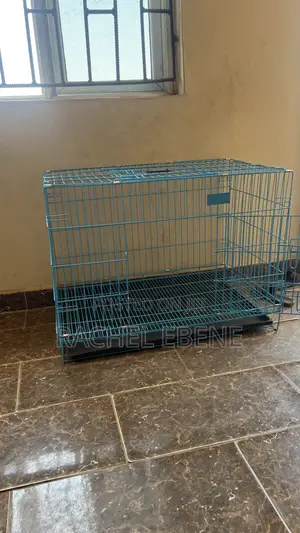 Pet Accessories