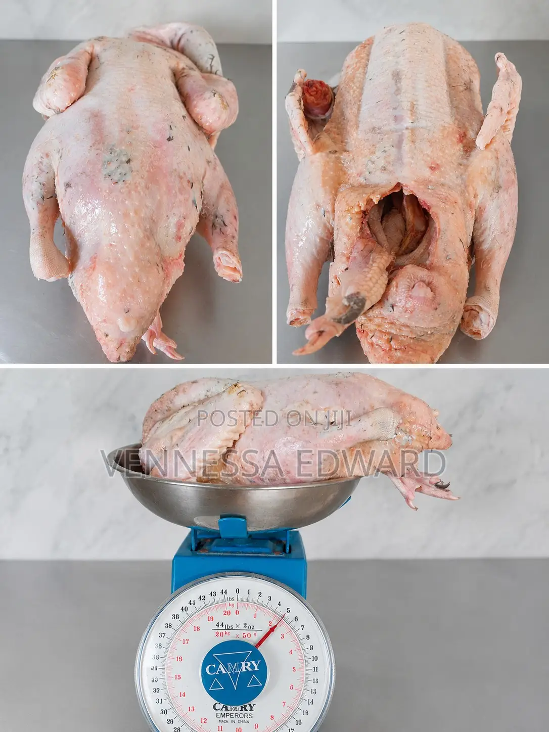 Fresh Duck Meat