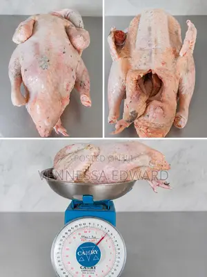 Fresh Duck Meat