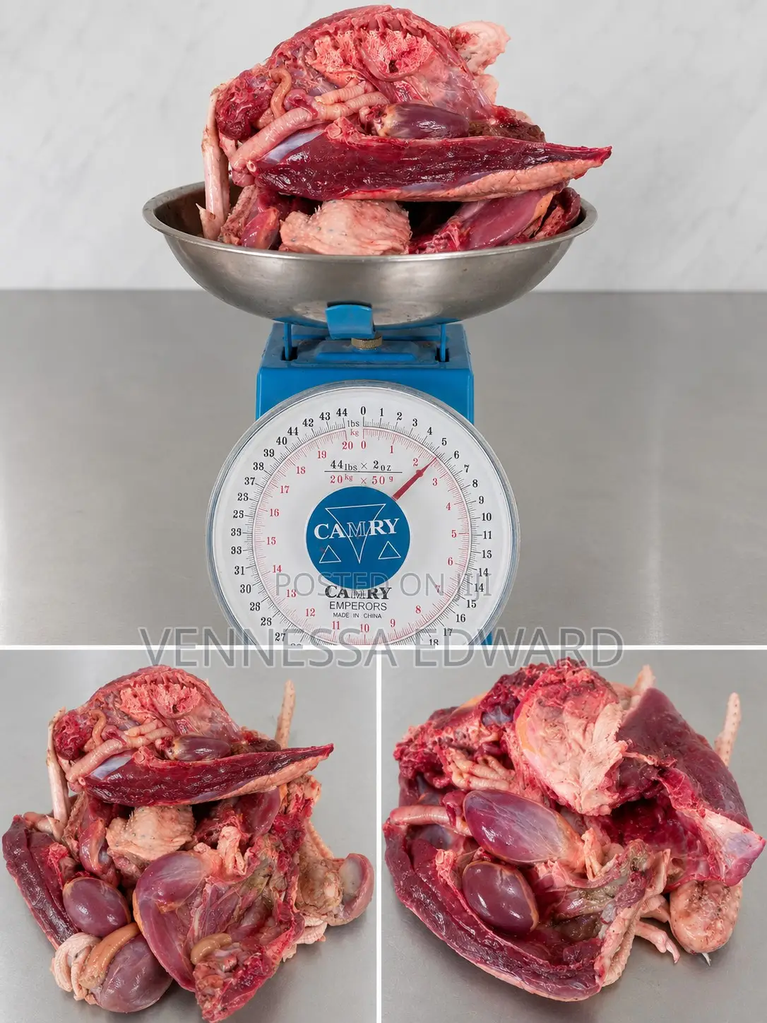 Fresh Duck Meat