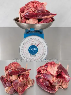 Fresh Duck Meat