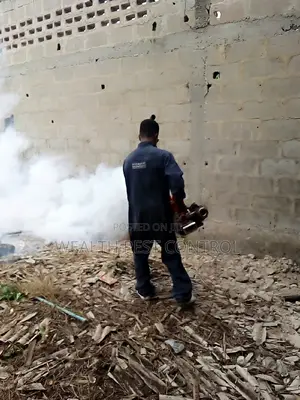 Kill All Pests at Affordable Rates