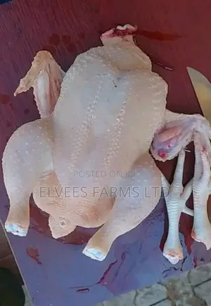 Whole (Full) Chicken, Organic Grown, Frozen Chicken