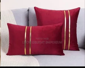 Upgrade Your Space With Our 2-set Velvet Combo Unique Throw Pillows