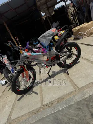 20’ Sport Young Adult Bicycle