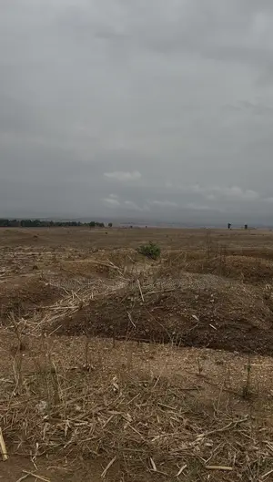 Land In Karshi