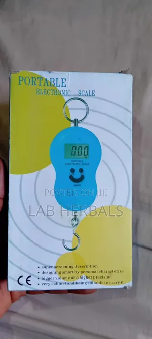 Small Handheld Scale