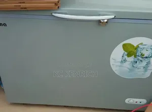 Bona Solar Freezer Uses Dc and Ac 318