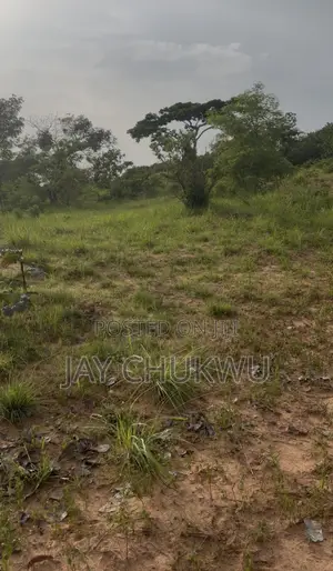 Registered Layout