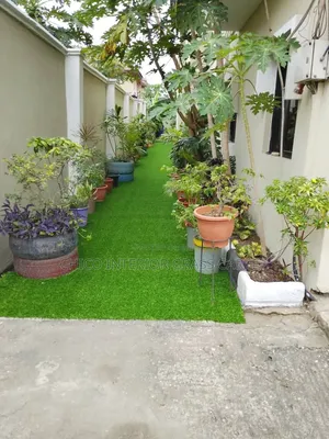 Grass Carpet