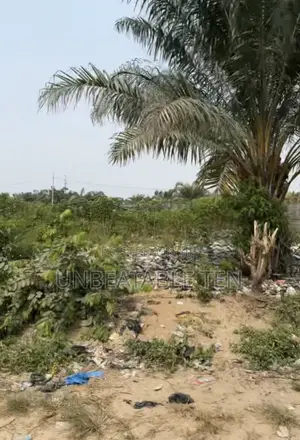 Prime Gazette Land For Sale At Awoya