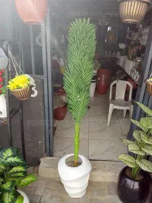 Flower Pot and Flower
