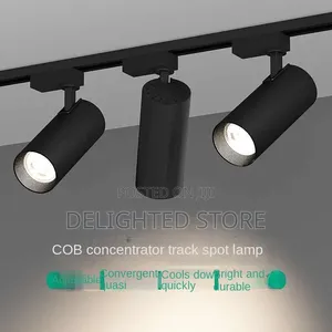 3in1 30w Spotlight Adjustable Ceiling/Wall Engineering Model Light