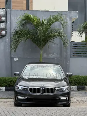 BMW 530i 2019 Brown