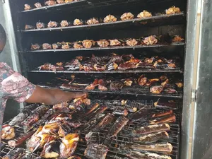 Oven Dried Catfish (10kg to 10,00kg)/Direct From the Farm