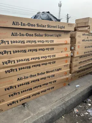 Felicity D2 100w Solar Street Light