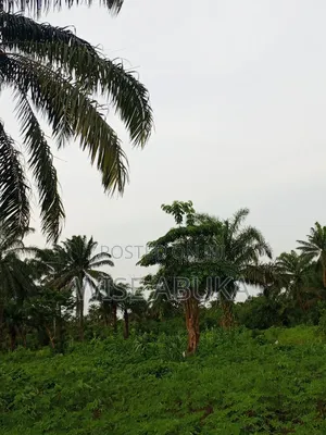 Fertile Land for Agric Business/Housing Estates