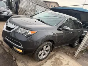 Acura MDX 2010 Gray