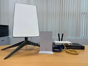 Professional Installation of Mini Starlink