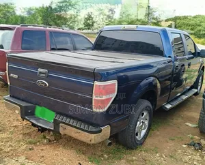 Ford F-150 XLT 2013 Blue