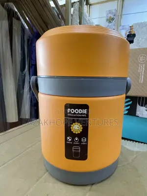 Electric Lunch Box,2l Stainless Steel Portable Electric Food Warmer