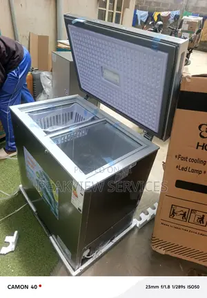 Snowsea Model Bd258 176l Freeze Chest