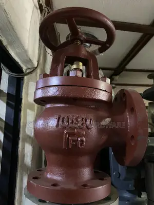 Jis 80 Cast Iron Angle Globe Valve